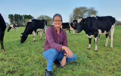 No Bull! Climate Researchers ‘Potty Train’ Peeing Cows