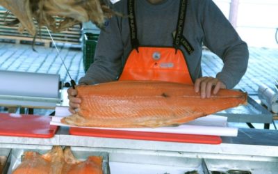 Norway Wants to Resume Salmon Export to China