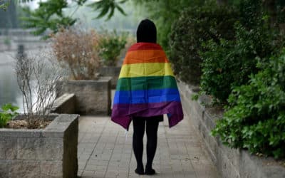 ‘Same-Sex Marriage’ Among the Top Suggestions Made by the Chinese Public to Lawmakers