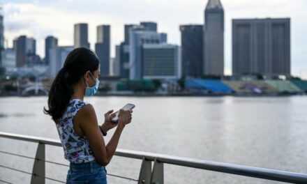 Singapore Egg-Freezing Ban Forces Women to Head Overseas