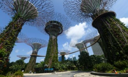 From Grey to Green: World Cities Uprooting the Urban Jungle