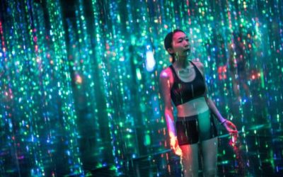 Steamy Spectacle: Immersive Sauna Exhibition Opens in Japan