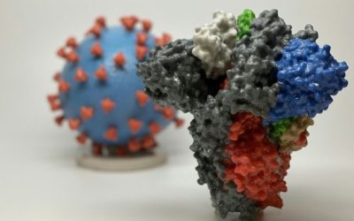 Lilly Antibody Reduced COVID-19 Risk by 80% in Nursing Home Study