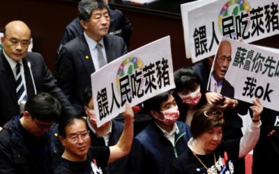 Pig Guts Fly in Taiwan Parliament Protest