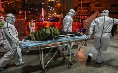 A Year after First Death in China, Coronavirus Source Still a Puzzle