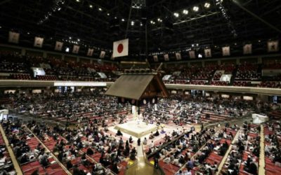 Japan Sumo Wrestler Quits, Saying Coronavirus Fears Ignored