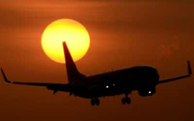 Bali Boots Tourists for Breaking Virus Rules