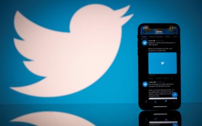 New Bug Discovery Proves Mite of Twitter