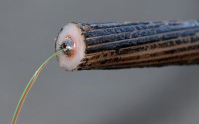 New Fiber-Optic Cable Backed by Google and Facebook May Bypass Hong Kong