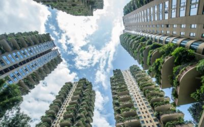 Eco-Paradise? Plants Overrun China’s Green Housing Project