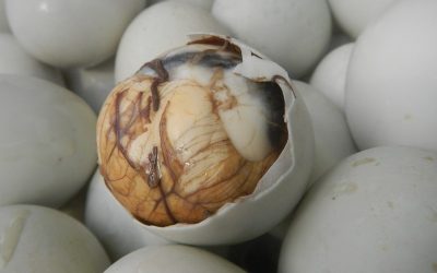 Vietnam’s Strangest, Tastiest Food