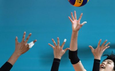 Twin South Korea Volleyball Stars Suspended over Bullying