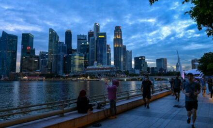 Singaporean Woman Jailed 30 Years for Torturing, Killing Maid