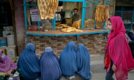 ‘This Is Our Homeland’: Women Plead for Basic Rights in Afghanistan