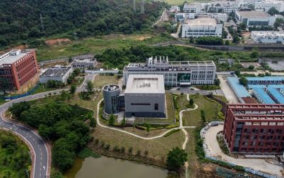 The Wuhan Lab at the Heart of the ‘Extremely Unlikely’ Leak Theory