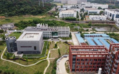 Wuhan Lab had Three Live Bat Coronaviruses but With Similarity of Only 79.8 Percent