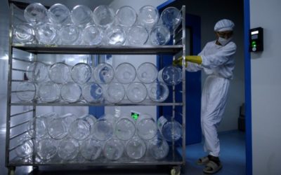 In China’s Vaccine Race, Shortage of Monkeys and Weekends